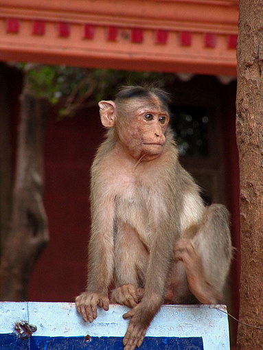 matheran