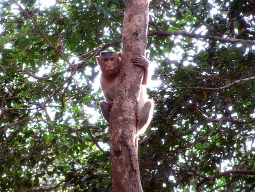 matheran