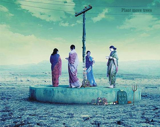 plant more trees en inde