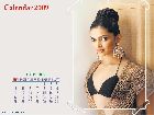 Deepika Padukone calendrier