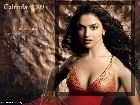 Deepika Padukone calendrier