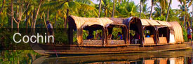 Cochin et les backwaters