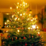 C’est la belle nuit de noël Juletræet