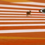 media l 991797 150x150 La Formule 1 en Inde   une vraie réussite