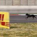 media xl 991786 150x150 La Formule 1 en Inde   une vraie réussite
