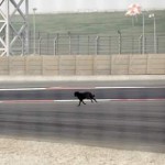 media xl 991798 150x150 La Formule 1 en Inde   une vraie réussite