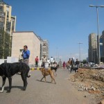 india-rubble-corporate