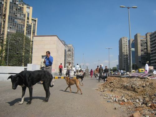 india rubble corporate LInde, pas prête à devenir une super puissance ?
